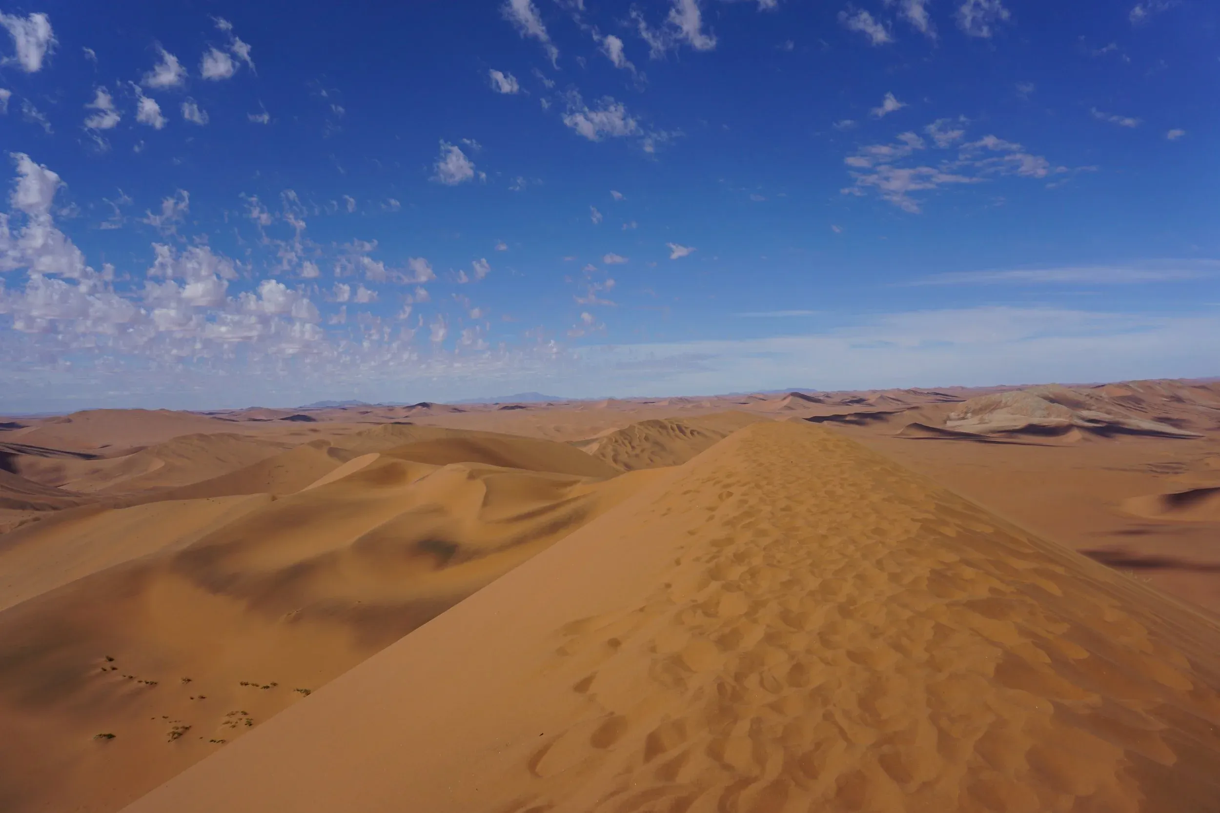 Rolling red sand dunes under a blue sky in the Namib desert
